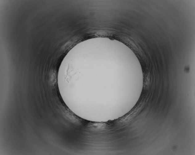 X0000099930478200806201101