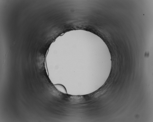 X0000099930480200806201101