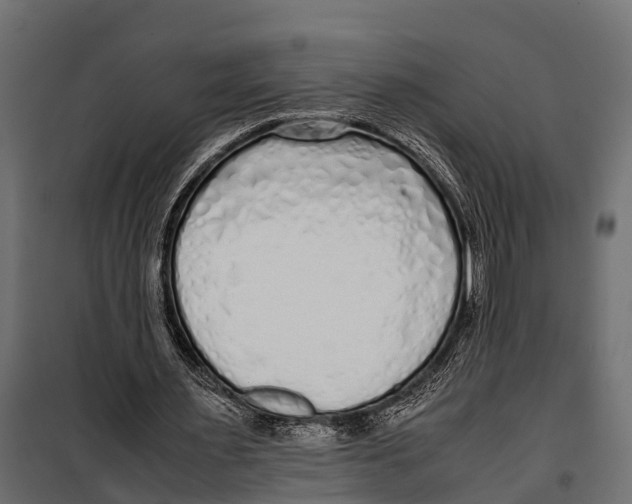 X0000099930483200806201100