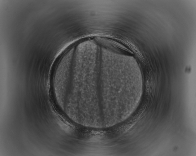 X0000099930484200806201100