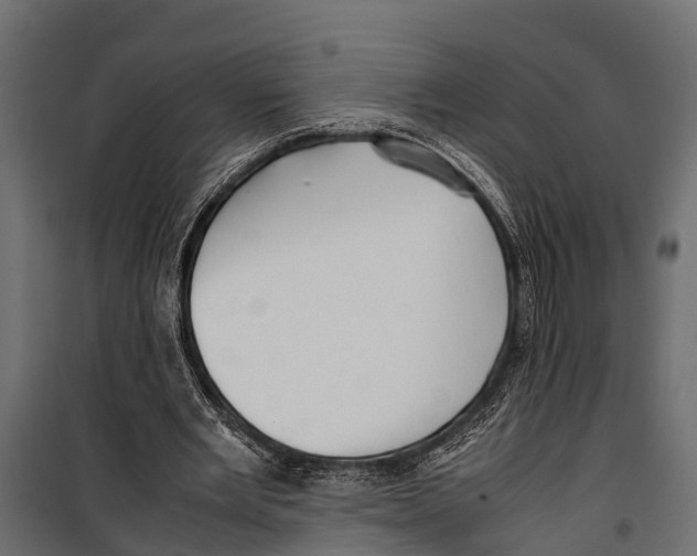 X0000099930485200806201100