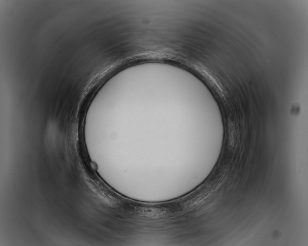 X0000099930486200806201100