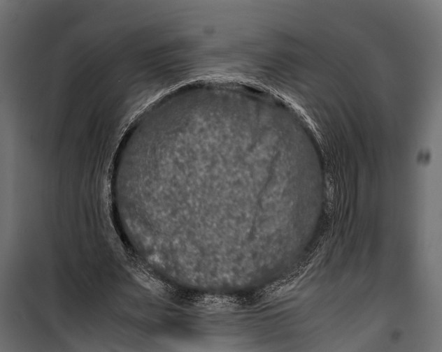 X0000099930487200806201100