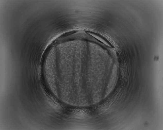 X0000099930488200806201100