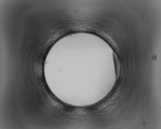 X0000099930489200806201100