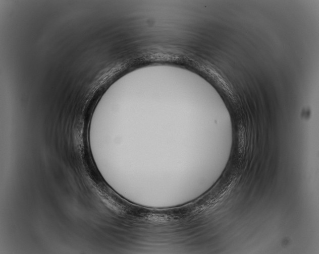 X0000099930490200806201100