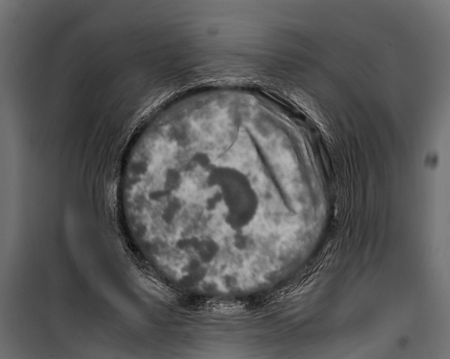 X0000099930491200806201100