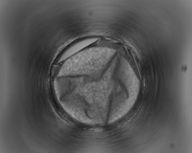 X0000099930492200806201100