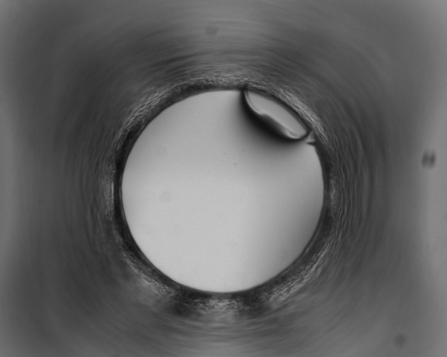 X0000099930493200806201100