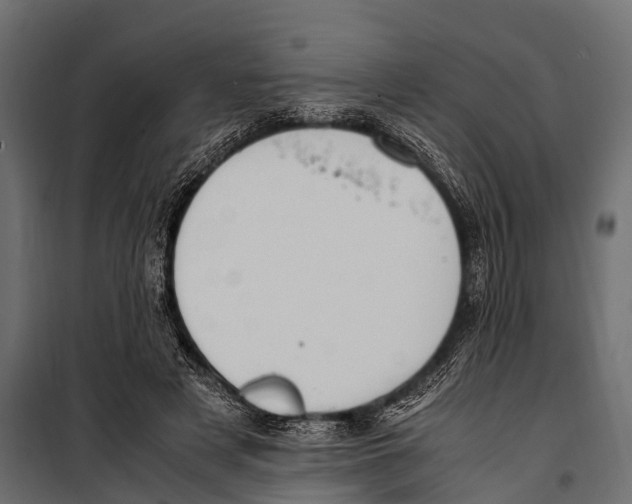 X0000099930497200806201100