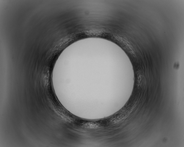 X0000099930498200806201100