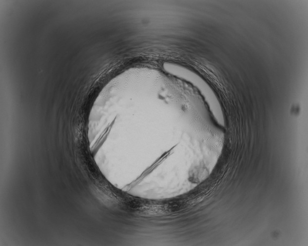 X0000099930499200806201100