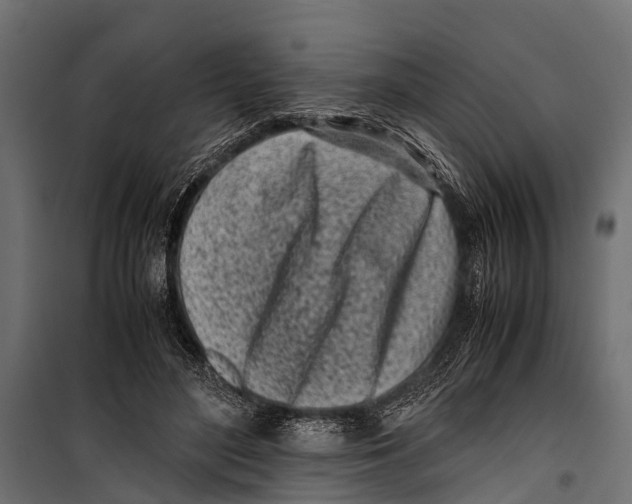 X0000099930500200806201100