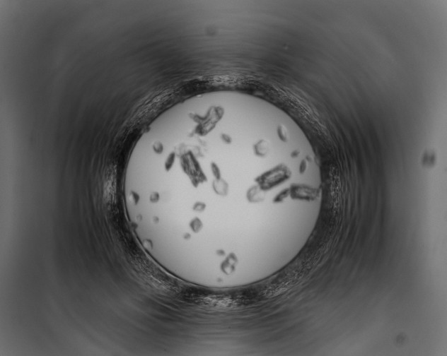 X0000099930502200806201100