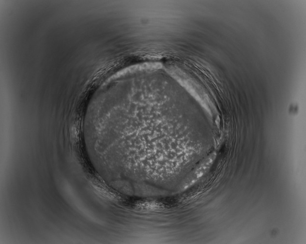 X0000099930503200806201100