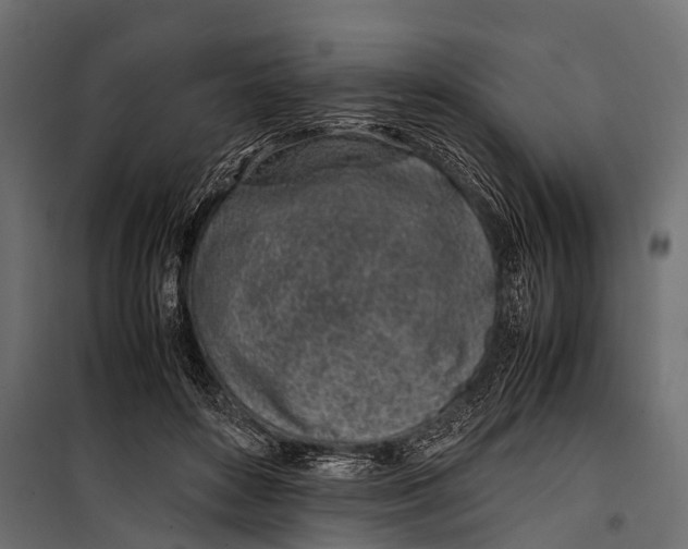 X0000099930504200806201100