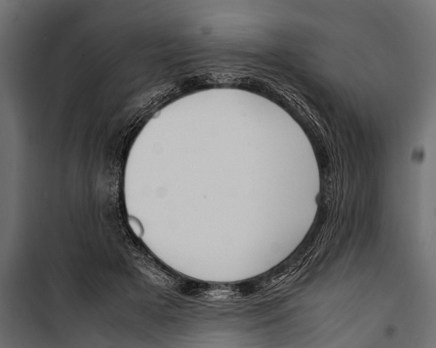 X0000099930505200806201100