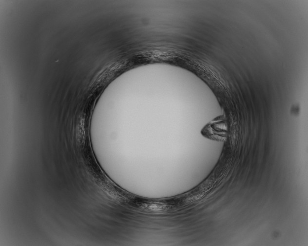 X0000099930506200806201100