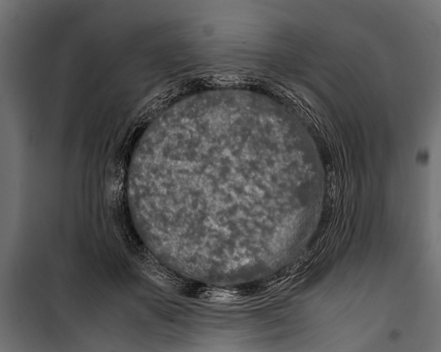 X0000099930507200806201100