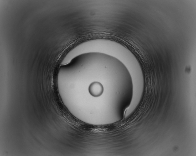 X0000099930508200806201100