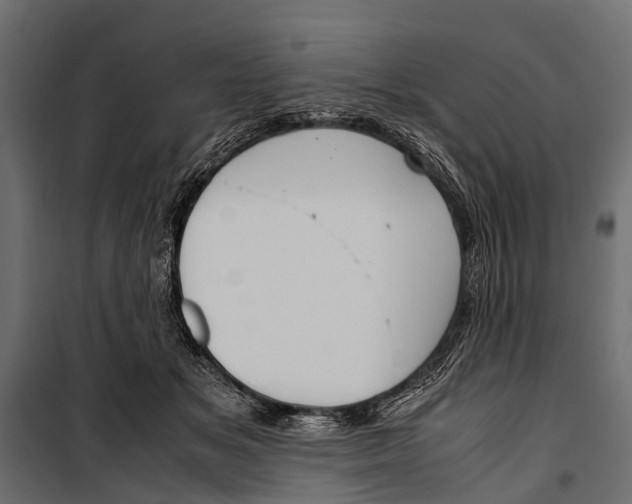 X0000099930509200806201100