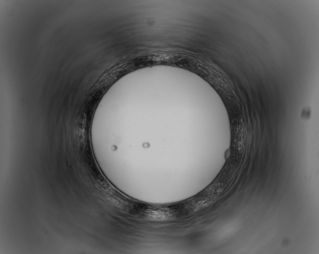 X0000099930510200806201100