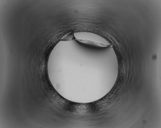 X0000099930513200806201100