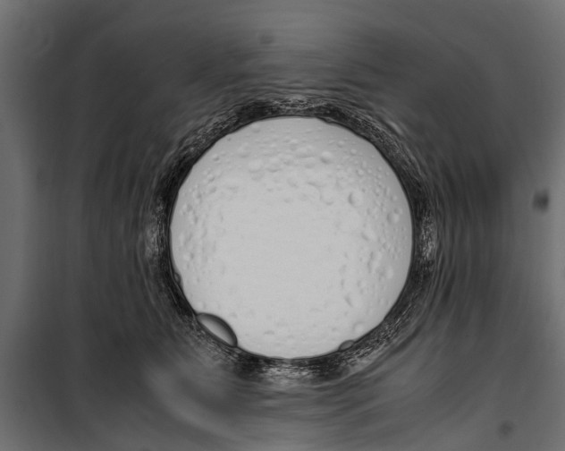 X0000099930515200806201100