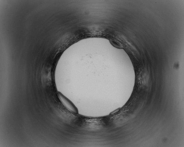 X0000099930516200806201100