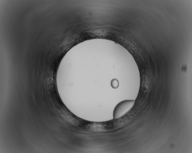 X0000099930518200806201100