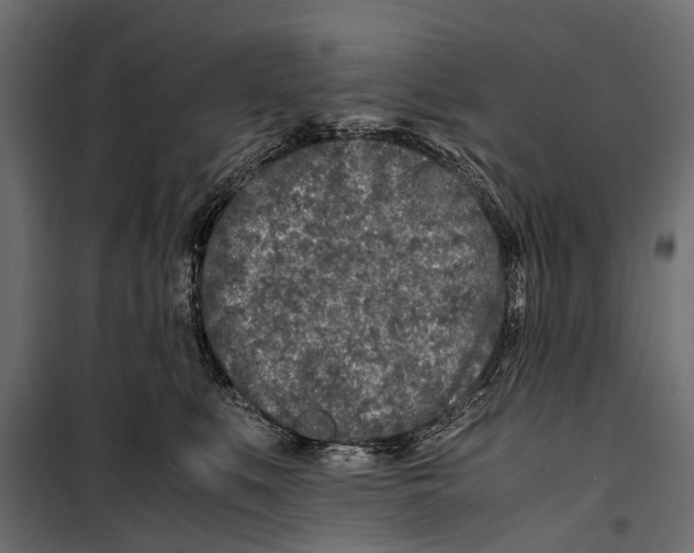 X0000099930519200806201100