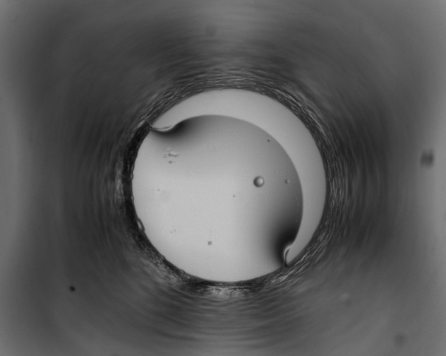 X0000099930520200806201100