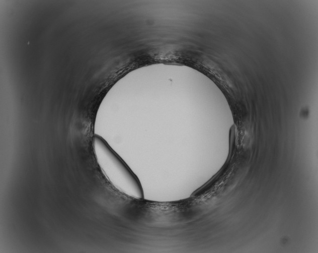 X0000099930521200806201100