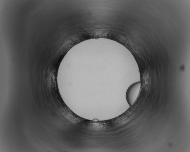 X0000099930522200806201100