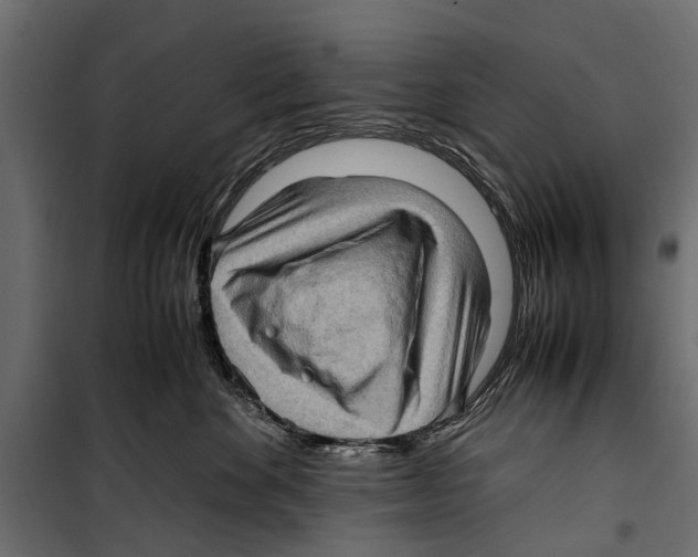 X0000099930524200806201100