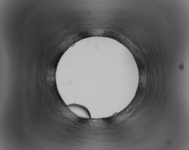 X0000099930525200806201100