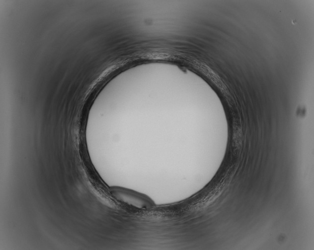 X0000099930530200806201059