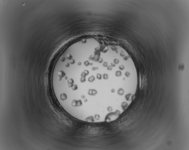 X0000099930531200806201059