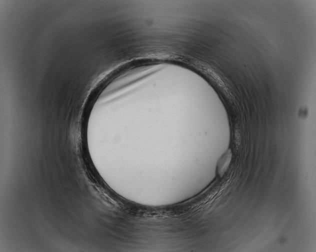 X0000099930532200806201059