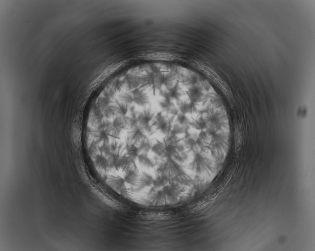 X0000099930533200806201059