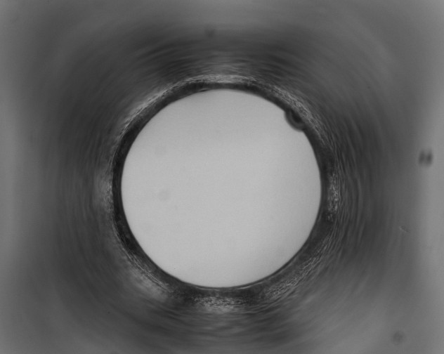 X0000099930535200806201059