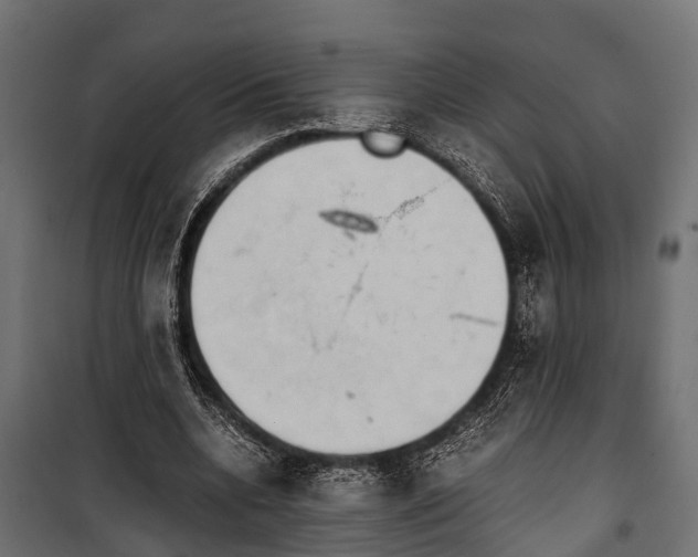 X0000099930536200806201059