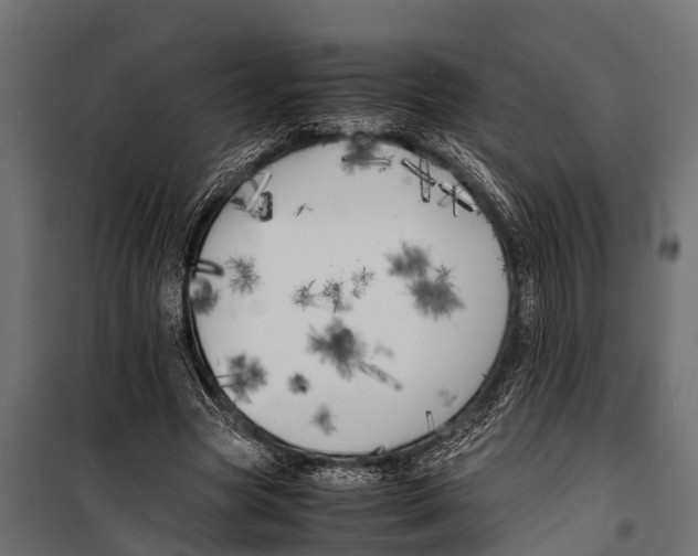 X0000099930537200806201059