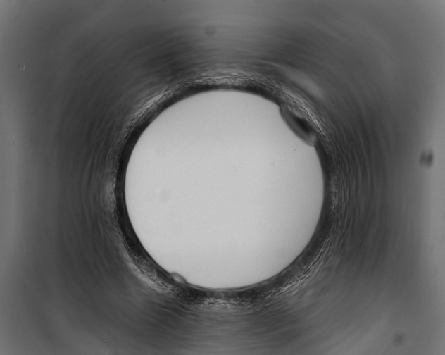 X0000099930538200806201059