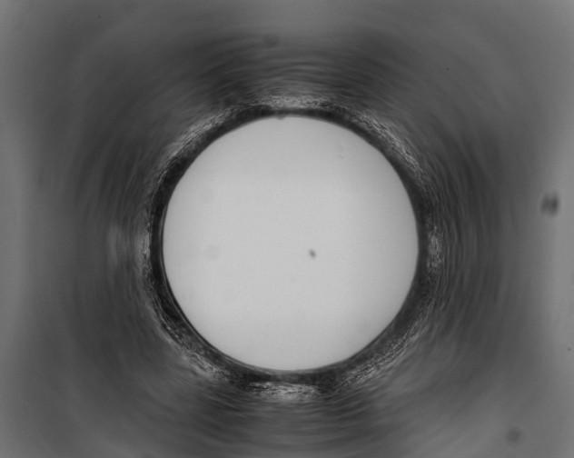 X0000099930539200806201059