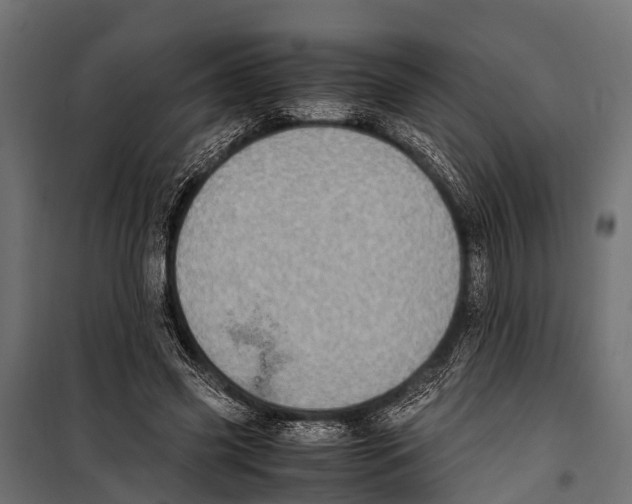 X0000099930541200806201059