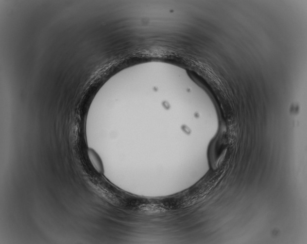 X0000099930544200806201059