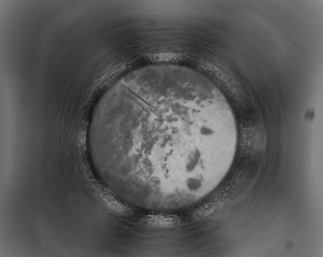 X0000099930545200806201059