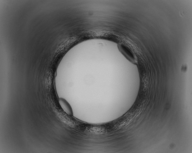 X0000099930546200806201059