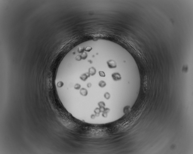 X0000099930547200806201059